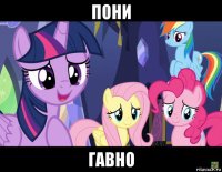 пони гавно