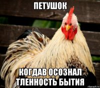 петушок когдав осознал тленность бытия