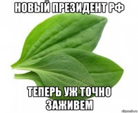 новый президент рф теперь уж точно заживем