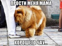 прости меня мама хорошего чау...