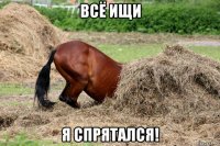 всё ищи я спрятался!