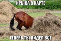 крыса в карте теперь ты видел все