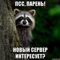 псс, парень! новый сервер интересует?