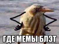  где мемы блэт