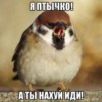 я птычко! а ты нахуй иди!