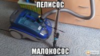 пелисос малокосос