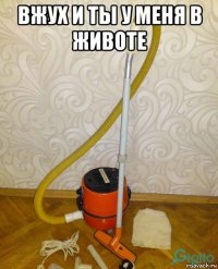 вжух и ты у меня в животе 