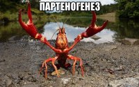 партеногенез 