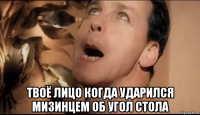 твоё лицо когда ударился мизинцем об угол стола