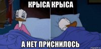 крыса крыса а нет приснилось