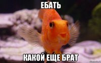 ебать какой еще брат