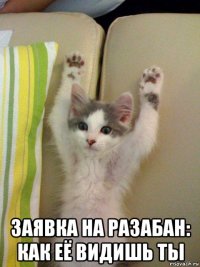  заявка на разабан: как её видишь ты