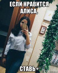 если нравится алиса, ставь+