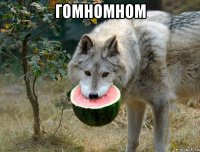 гомномном 