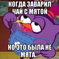 когда заварил чай с мятой но это была не мята...