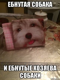 ебнутая собака и ебнутые хозяева собаки