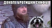 доколе бротишки скифы 