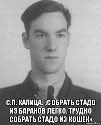  с.п. капица: «собрать стадо из баранов легко, трудно собрать стадо из кошек»