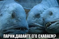  парни,давайте его схаваем?