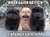 жили были на руси сильные богатыри