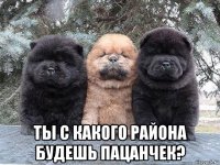  ты с какого района будешь пацанчек?