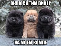 вклюси тим вивер на моем компе