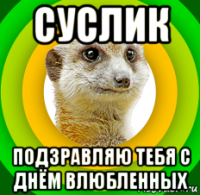 суслик подзравляю тебя с днём влюбленных