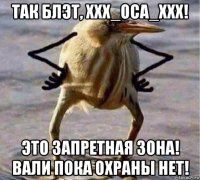 так блэт, xxx_oca_xxx! это запретная зона! вали пока охраны нет!