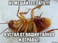 не мешайте спать!!! я устал от ваших тапков и отравы!