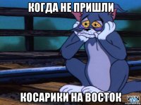 когда не пришли косарики на восток