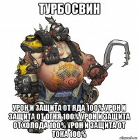 турбосвин урон и защита от яда 100% урон и защита от огня 100% урон и защита от холода 100% урон и защита от тока 100%