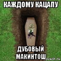 каждому кацапу дубовый макинтош