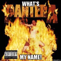 what's my name!