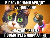 в лесу ночами бродят вурдалаки? - настало время посмотреть лайфхаки!