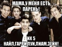 мама,у меня есть парень! их 5 найл,гарри,луи,лиам,зейн!
