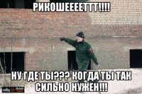 рикошееееттт!!!! ну где ты??? когда ты так сильно нужен!!!