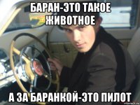 баран-это такое животное а за баранкой-это пилот