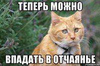 теперь можно впадать в отчаянье
