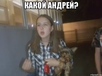 какой андрей? 