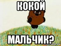 кокой мальчик?