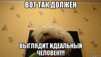 вот так должен выглядит идеальный человек!!!