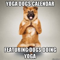 yoga dogs calendar featuring dogs doing yoga