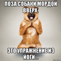 поза собаки мордой вверх. это упражнение из йоги...