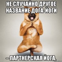 не случайно другое название дога-йоги – партнерская йога.