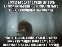 бастет бродит по сиджею, весь ентозами обвешен. оне спал четыре ночи, и голодный как собака. что ты ищешь, сонный бастет? среди ночи и китайцев? может дать тебе водички? ведь сиджей давно откручен!