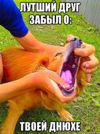 лутший друг забыл о: твоей днюхе
