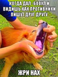 когда дал -600хп и видишь как противники пишут друг другу жри нах
