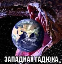  западная гадюка