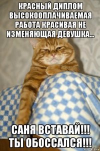 красный диплом высокооплачиваемая работа красивая не изменяющая девушка... саня вставай!!! ты обоссался!!!