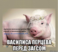  василиса перцева перед загсом